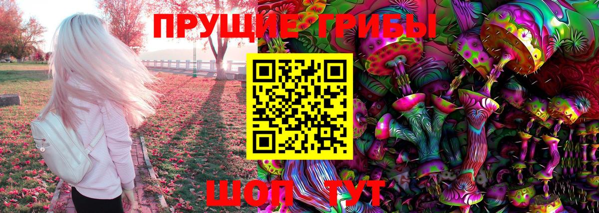 Псилоцибиновые грибы GOLDEN TEACHER Новоалтайск