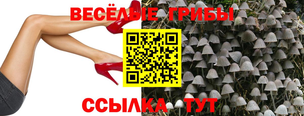 Псилоцибиновые грибы MAGIC MUSHROOMS  Галлюциногенные грибы Cubensis  Новоалтайск  Вход с VPN 