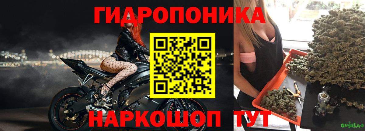 Шишки марихуана SATIVA & INDICA Новоалтайск